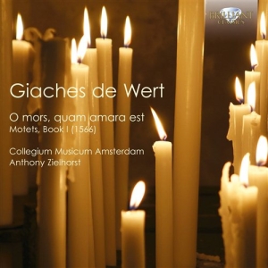 De Wert - Motets in the group Externt_Lager /  at Bengans Skivbutik AB (1004616)