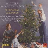 Blandade Artister - Winter Wonderland - A Christmas Cel in the group CD / Pop at Bengans Skivbutik AB (1008133)