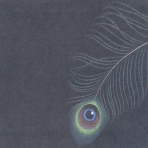 Unwed Sailor - Circles Ep in the group OTHER / Övrigt /  at Bengans Skivbutik AB (1011813)