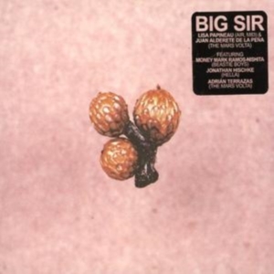 Big Sir - Und Die Scheibe Andert Sichimmer in the group CD / Pop-Rock at Bengans Skivbutik AB (1011988)