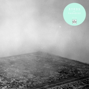 Byrds Of Paradise - Teenage Symphonies in the group OTHER / Övrigt /  at Bengans Skivbutik AB (1012477)