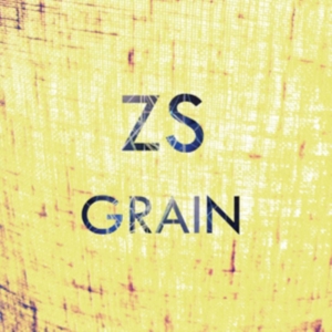 Zs - Grain in the group OTHER / Övrigt /  at Bengans Skivbutik AB (1012586)