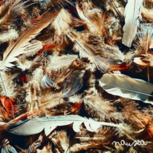 Moodie Black - Nausea in the group CD / Hip Hop-Rap at Bengans Skivbutik AB (1020601)