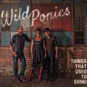 Wild Ponies - Things That Used To Shine in the group CD / Pop at Bengans Skivbutik AB (1023740)
