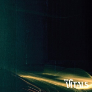 Vitals - Qualia in the group OTHER / Övrigt /  at Bengans Skivbutik AB (1023833)