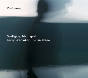 Wolfgang Muthspiel/Larry Grenadier/ - Driftwood in the group CD / Jazz at Bengans Skivbutik AB (1030638)