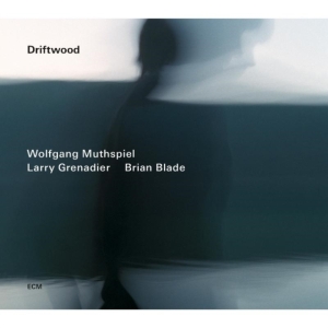 Wolfgang Muthspiel/Larry Grenadier/ - Driftwood in the group CD / Jazz at Bengans Skivbutik AB (1030638)