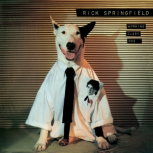 Springfield Rick - Workingclass Dog in the group OUR PICKS / Classic labels / Rock Candy at Bengans Skivbutik AB (1032129)