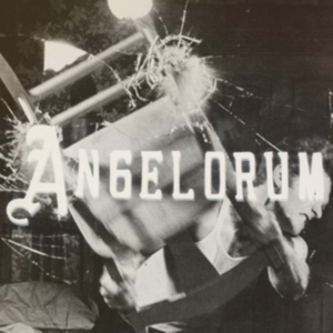 Apollo James - Angelorum in the group CD / Pop-Rock at Bengans Skivbutik AB (1044926)