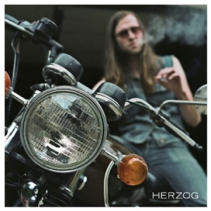 Herzog - Boys in the group CD / Rock at Bengans Skivbutik AB (1049711)