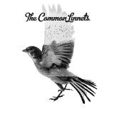 Common Linnets - Common Linnets in the group CD / Pop-Rock at Bengans Skivbutik AB (1055026)