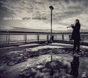 Weiss David - When Words Fail in the group CD / Jazz/Blues at Bengans Skivbutik AB (1088423)