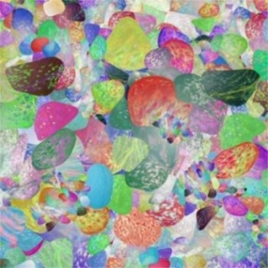 Grumbling Fur - Preternaturals in the group CD / Pop-Rock at Bengans Skivbutik AB (1099022)