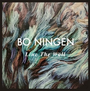 Bo Ningen - Line the wall in the group VINYL / Pop at Bengans Skivbutik AB (1102285)