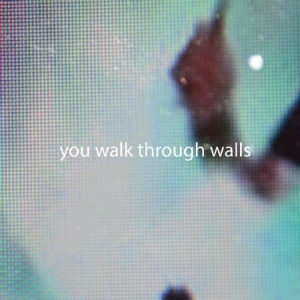You Walk Through Walls - You Walk Through Walls (Lim.Ed.Colo in the group VINYL / Rock at Bengans Skivbutik AB (1105199)