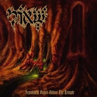 SHEOL - SEPULCHRAL RUINS BELOW THE TEMPLE in the group CD / Hårdrock at Bengans Skivbutik AB (1110930)