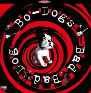 Bo-Dogs - Bad Bad Dog! in the group CD / Pop-Rock,Svensk Musik at Bengans Skivbutik AB (1114186)