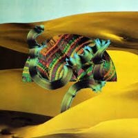 Django Django - Django Django (The Album) in the group VINYL / Pop-Rock at Bengans Skivbutik AB (1114242)