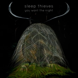 Sleep Thieves - You Want The Night in the group VINYL / Pop-Rock at Bengans Skivbutik AB (1117890)