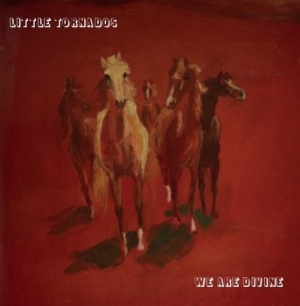 Little Tornados - We Are Divine in the group VINYL / Pop at Bengans Skivbutik AB (1125535)