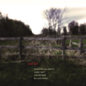 Wadada Leo Smith Jamie Saft Joe M - Red Hill in the group CD / Pop at Bengans Skivbutik AB (1125539)