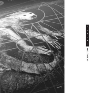 Pixies - Doolittle 25 in the group CD / Pop-Rock at Bengans Skivbutik AB (1126365)