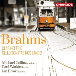 Brahms - Clarinet Trio in the group CD / Klassiskt at Bengans Skivbutik AB (1126887)