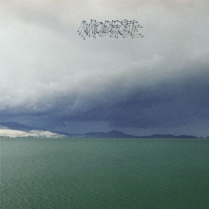 Modest Mouse - Fruit That Ate Itself in the group VINYL / Rock at Bengans Skivbutik AB (1127930)