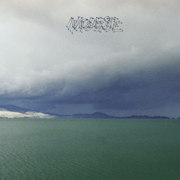 Modest Mouse - Fruit That Ate Itself in the group VINYL / Rock at Bengans Skivbutik AB (1127930)