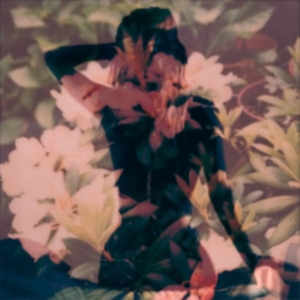 Modern Vices - Modern Vices in the group OTHER / Övrigt /  at Bengans Skivbutik AB (1131144)