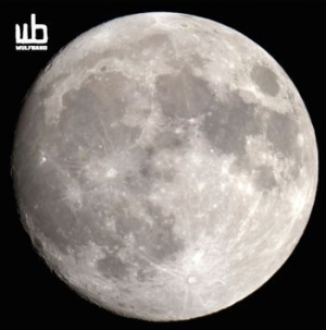 Wulfband - Wulfband in the group Labels / Progress Productions at Bengans Skivbutik AB (1133483)