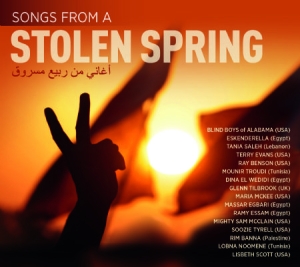 Blandade Artister - Songs From A Stolen Spring in the group CD / Elektroniskt at Bengans Skivbutik AB (1134493)