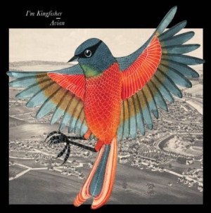 I'm Kingfisher - Avian - Red Vinyl in the group Labels / Bengans Distribution at Bengans Skivbutik AB (1135387)