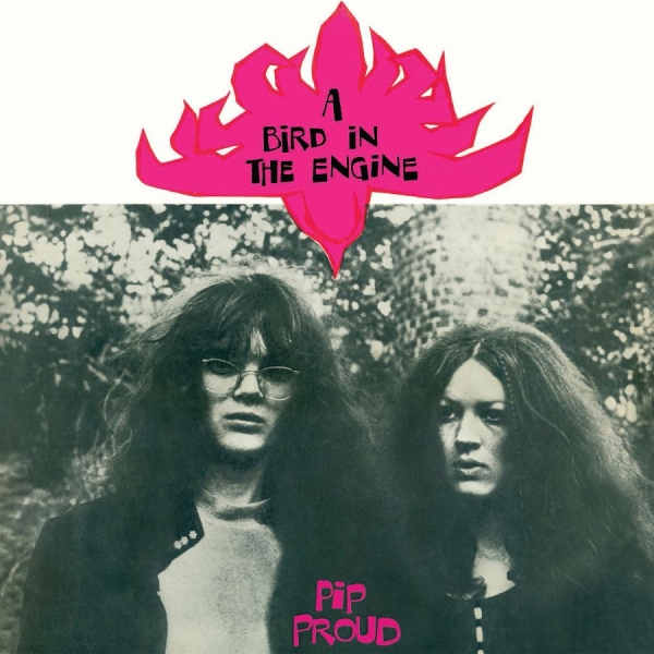 Proud Pip - A Bird In The Engine in the group VINYL / Bestsellers at Bengans Skivbutik AB (1136958)