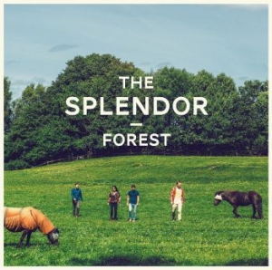 Splendor - Forest in the group VINYL / Jazz/Blues at Bengans Skivbutik AB (1142506)