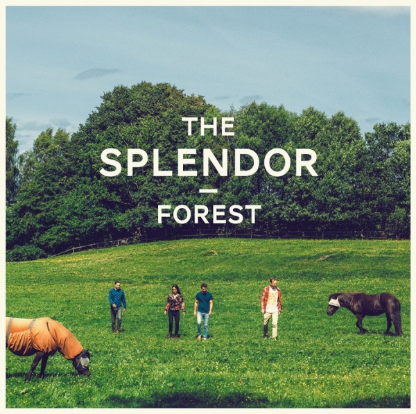 Splendor - Forest in the group VINYL / Bestsellers at Bengans Skivbutik AB (1142506)
