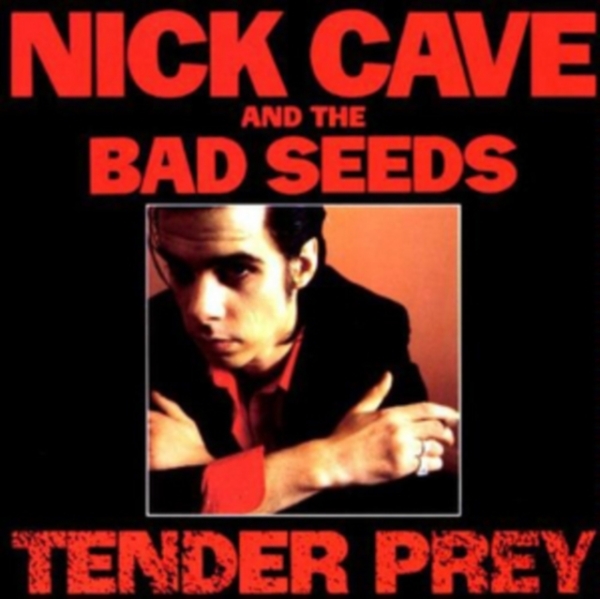 Nick Cave & The Bad Seeds - Tender Prey in the group OUR PICKS / Way Out West 2026 at Bengans Skivbutik AB (1152308)