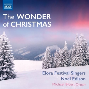 Various Composers - The Wonder Of Christmas in the group OUR PICKS / Christmas music on Vinyl & CD at Bengans Skivbutik AB (1153903)