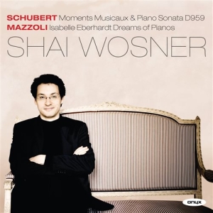 Schubert - Piano Works in the group CD at Bengans Skivbutik AB (1154710)