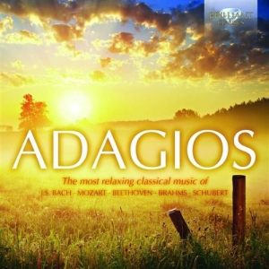 Various Composers - Adagios in the group Externt_Lager /  at Bengans Skivbutik AB (1168312)