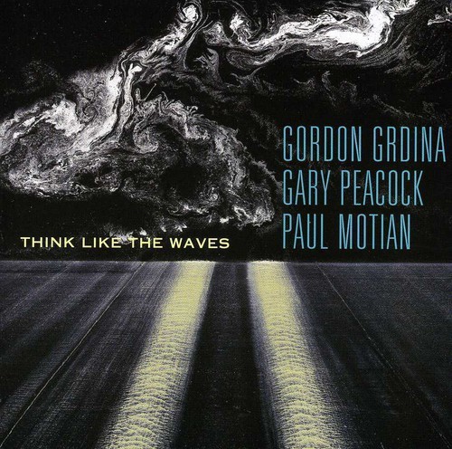 Grdina Gordon/Gary Peacock & Paul M - Think Like The Waves in the group OTHER / Övrigt / at Bengans Skivbutik AB (1176474)