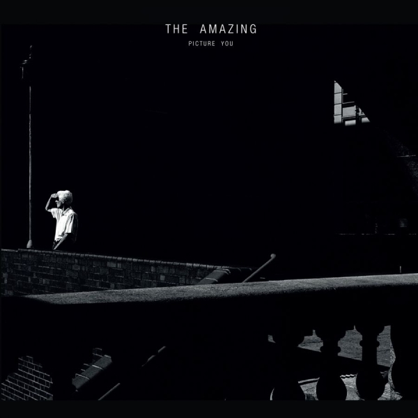 Amazing - Picture You in the group CD / Rock at Bengans Skivbutik AB (1176618)