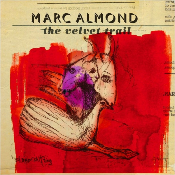 Almond Marc - Velvet Trail (Cd+Dvd) in the group CD / Bestsellers at Bengans Skivbutik AB (1191578)