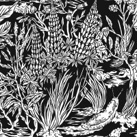 Eternal Tapestry - Wild Strawberries in the group CD at Bengans Skivbutik AB (1191606)