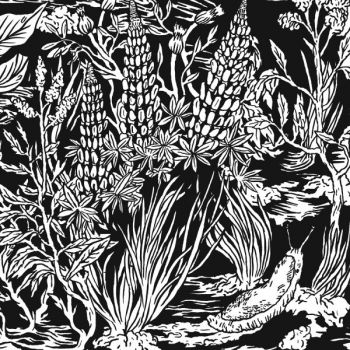 Eternal Tapestry - Wild Strawberries in the group CD / Bestsellers at Bengans Skivbutik AB (1191606)