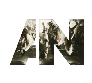 Awolnation - Run in the group CD / Pop at Bengans Skivbutik AB (1193208)