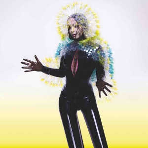 Bjork - Vulnicura in the group OUR PICKS / Most wanted classics on CD at Bengans Skivbutik AB (1224847)