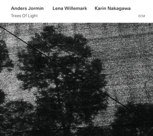 Jormin / Willemark / Nakagawa - Trees Of Light in the group CD / Jazz at Bengans Skivbutik AB (1244213)