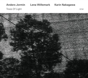Jormin / Willemark / Nakagawa - Trees Of Light in the group CD / Jazz/Blues at Bengans Skivbutik AB (1244213)