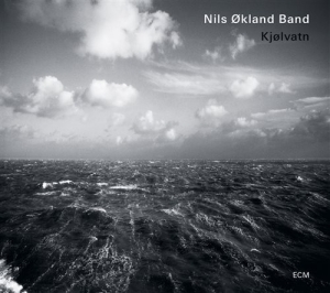 Nils Økland Quartet - Kjølvatn in the group CD / Jazz at Bengans Skivbutik AB (1261144)